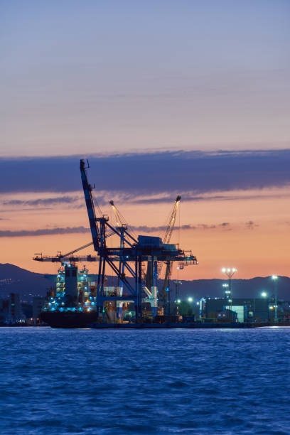 istock Cranes and ships in the port 1263843347