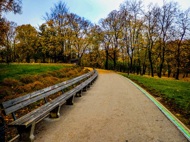 istock Autumn colored maple leaves and trees in a city park. 1263843643