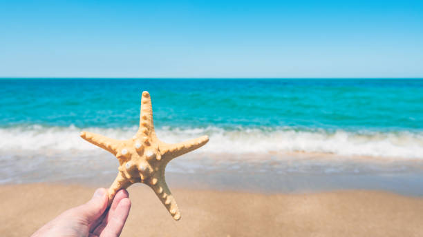 istock Starfish in hand on ocean background 1263843987