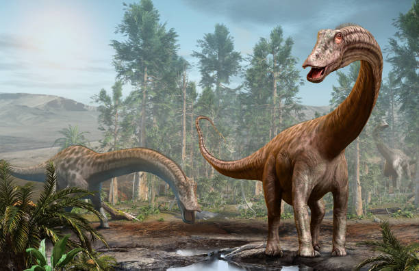 cena de dinossauro diplodocus da ilustração 3d da era jurássica - herbívoro - fotografias e filmes do acervo