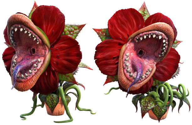 Carnivorous plant about to attack 3D illustration Carnivorous plant about to attack 3D illustration carnivora stock pictures, royalty-free photos & images