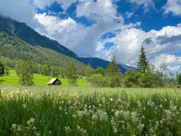 istock Landscape in Ramsau am Dachstein, Austria. 1263846736