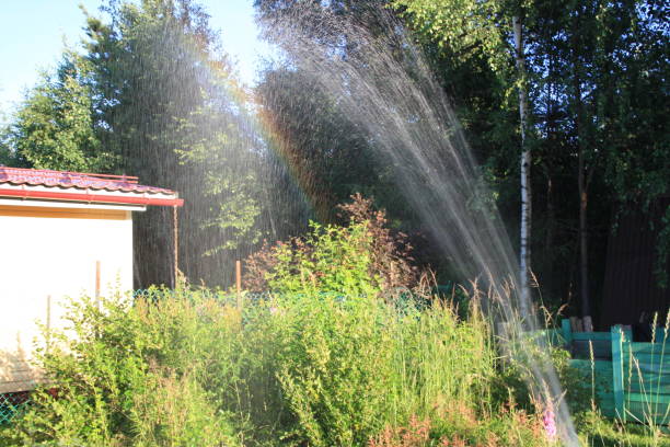 istock rainbow in the summer garden 1263848636