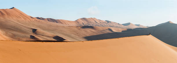 istock Panoramic view from sand dune at Sossusvlei towards north-east 1263850153