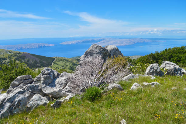 istock Beautiful landscape at Velebit mountain with view on Adriatic coast 1263851376