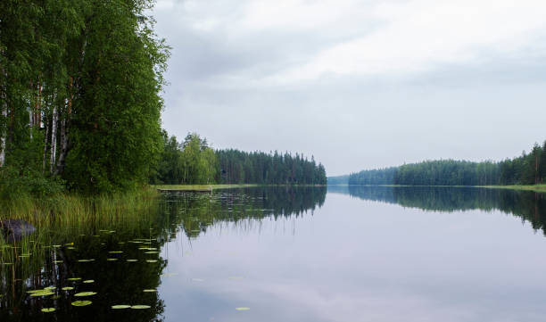 istock Summer, river landscape. Morning in Finland. 1263852425