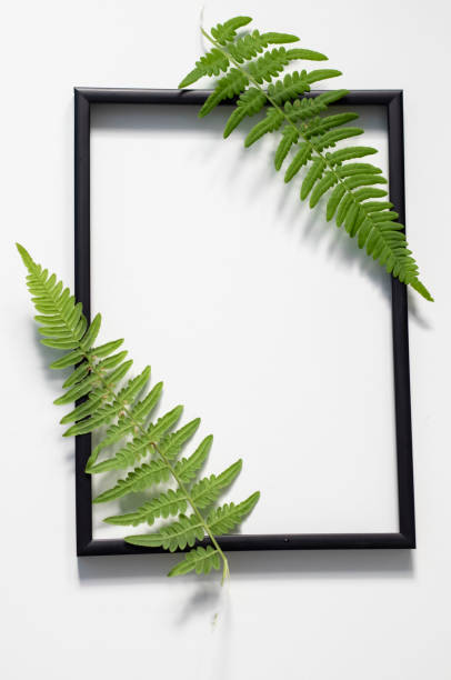 istock Frames in place with a mask and a leaf on a white background. 1263855805
