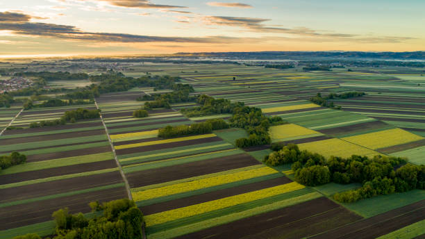 istock Aerial view of agricultural fields 1263856939