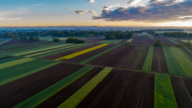 istock Drone view of agricultural fields 1263856953