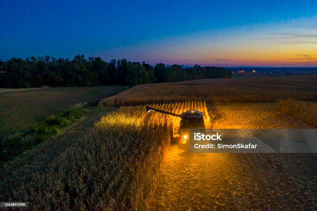 Aerial view: Combine harvester at work at dusk Drone view of tractor harvesting field Night Stock Photo