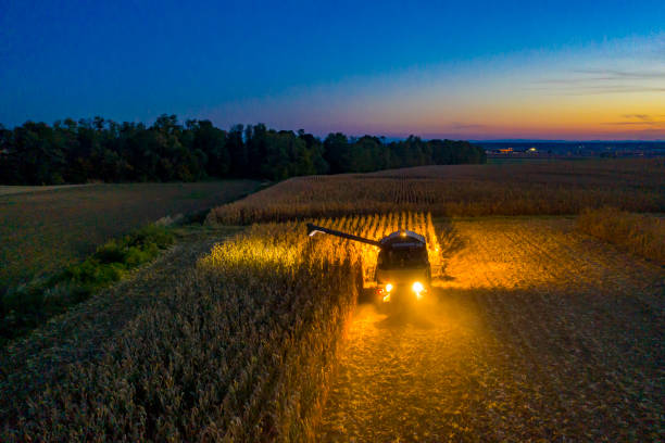 Aerial view: Combine harvester at work at dusk Drone view of tractor harvesting field agricultural activity stock pictures, royalty-free photos & images