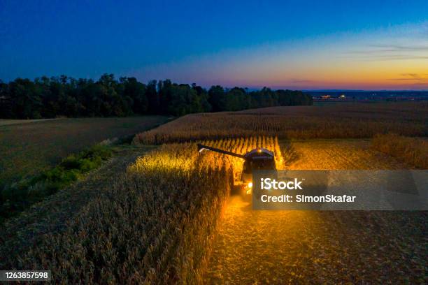 Aerial View Combine Harvester At Work At Dusk Stock Photo - Download Image Now - Night, Corn - Crop, Tractor