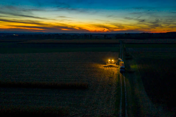 istock Combine harvester at work at dusk. Aerial view. 1263857717