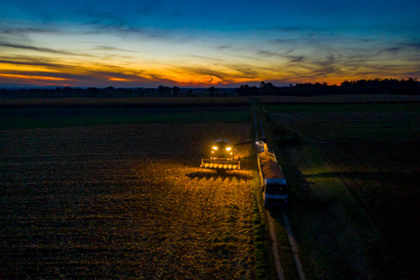 istock Combine harvester at work at dusk. Aerial view. 1263857719