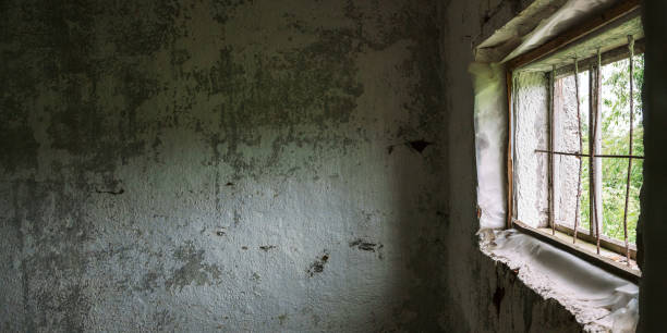 istock abandoned building with wooden window covered with grid 1263857747