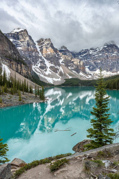 lac moraine au lever du soleil en juin, parc national banff, canada - landscape national park lake louise moraine lake photos et images de collection