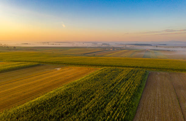 vista aérea del idílico paisaje rural al amanecer nebuloso - morning cereal plant fog corn crop fotografías e imágenes de stock