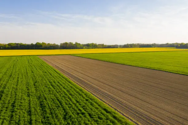 Drone view of tilled soil in between agricultural fields