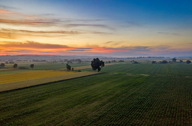 vista aérea: vista de alto ángulo de los campos agrícolas al amanecer brumoso - morning cereal plant fog corn crop fotografías e imágenes de stock