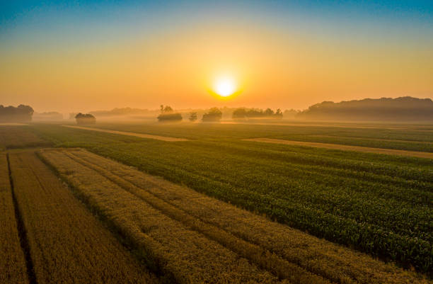 vista aérea del idílico paisaje rural al amanecer nebuloso - morning cereal plant fog corn crop fotografías e imágenes de stock