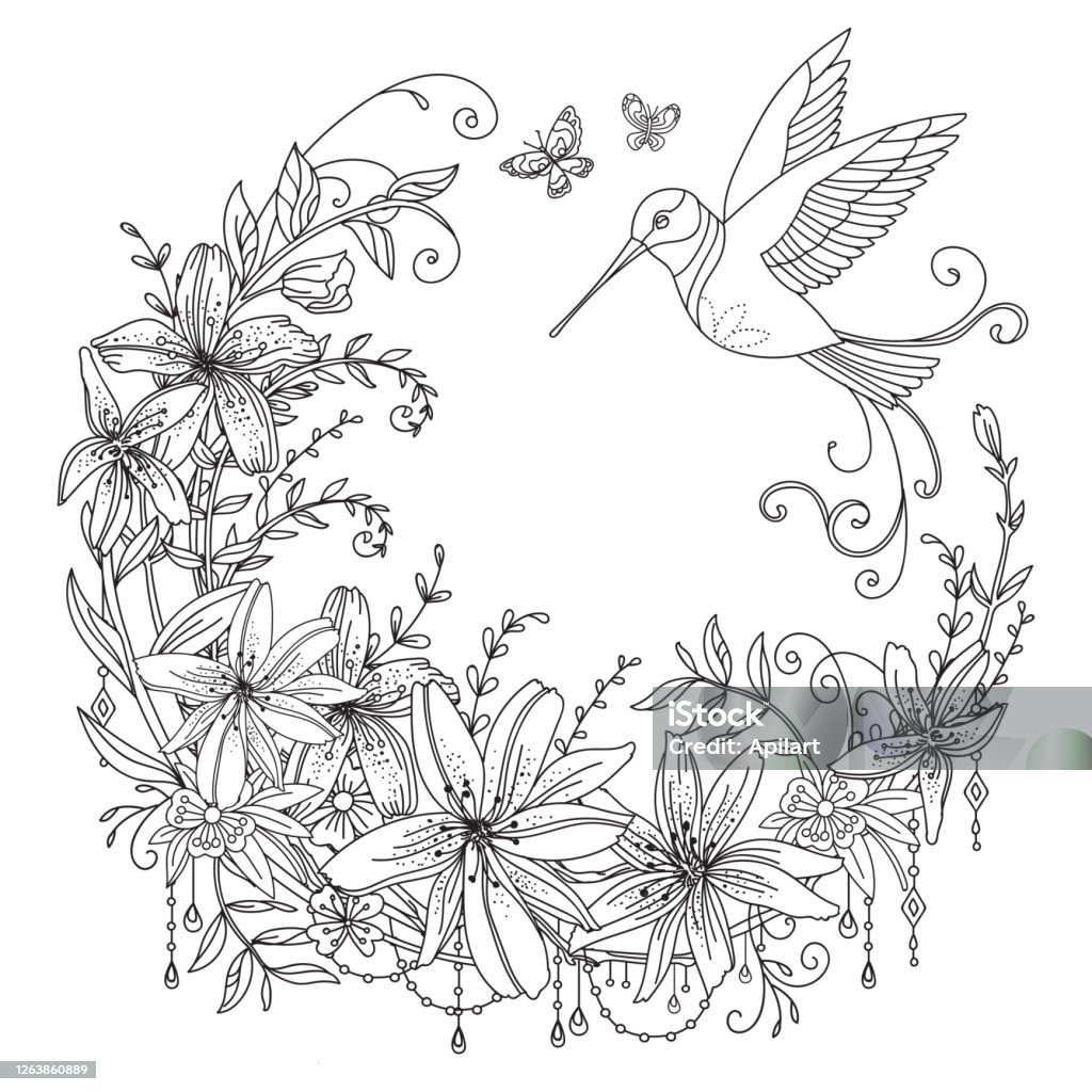 Ilustración de Colorear Flores Y Pájaros 4 y más Vectores Libres de  Derechos de Colibrí - Colibrí, Flor, Mariposa - Lepidópteros - iStock