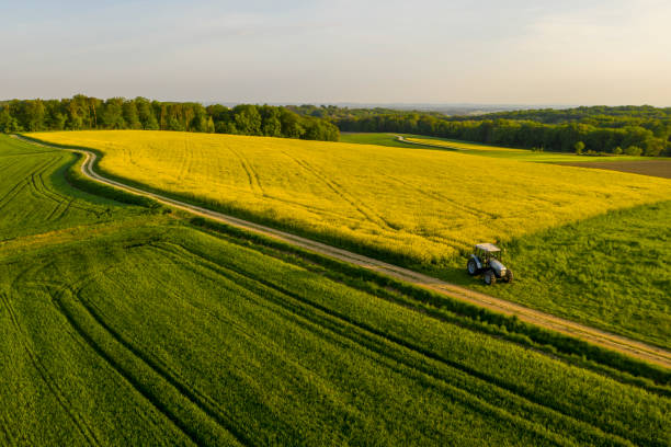 꽃이 피는 유채밭과 트랙터가 있는 목가적인 시골 풍경의 공중 보기 - oilseed rape 뉴스 사진 이미지