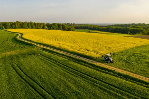 Aerial view of idyllic rural landscape with flowering rapeseed field and tractor