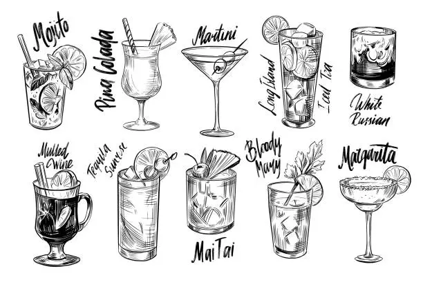 Vector illustration of Set of alcohol cocktails. Martini, mojito, pina colada, margarita. Vector outline.