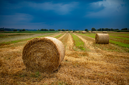 Storm clouds over agricultural field with rolled up bales of hay