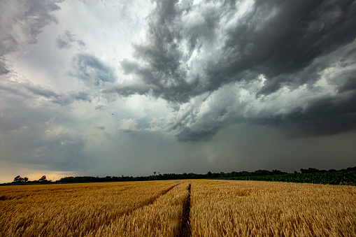 Scenic view of agricultural field against moody sky