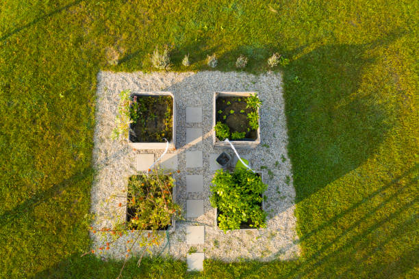 istock Aerial view of plants cultivated in white boxes 1263866970