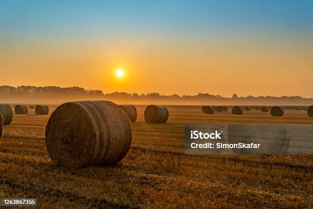 Bales Of Hay At Sunrise Stock Photo - Download Image Now - Bale, Agricultural Field, Rural Scene