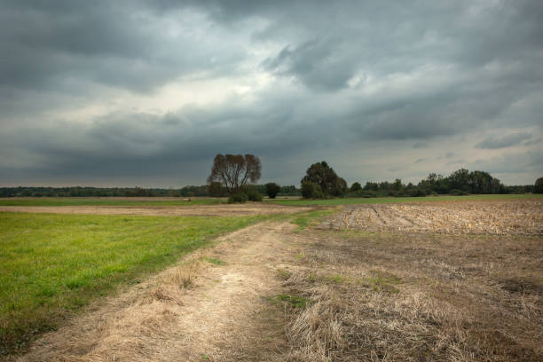 istock Dirt road through fields and dark clouds on the sky 1263873474