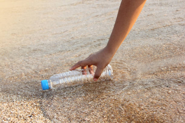 istock woman's hand collects plastic bottle on beach background. cleaning up beach. picking up plastic water bottle from the sandy beach. 1263873951
