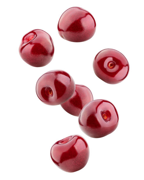 istock cherry isolated on white background, full depth of field, clipping path 1263875689