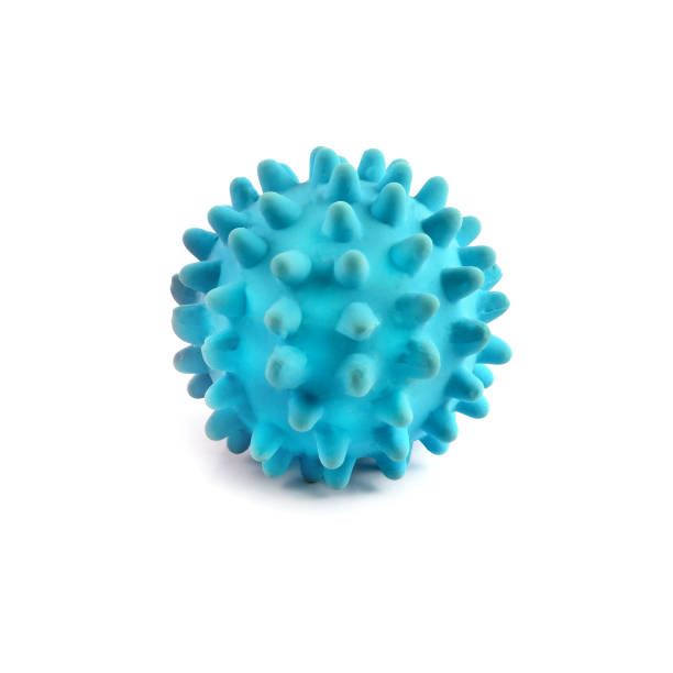 istock Ball games with a dog isolated on white background. 1263876284