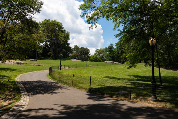 istock Empty Curving Path on a Hill at Central Park during Summer in New York City on a Beautiful Day 1263879090