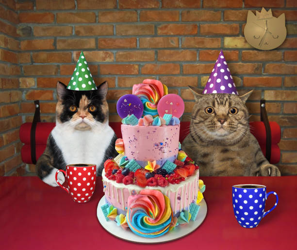 istock Cats eat two tiered cake in restaurant 2 1263879424
