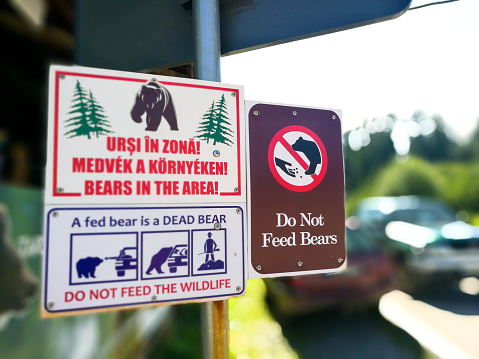 Image shot on mobile device depicting a sign deep in bear country in Transylvania, Romania, advising people of the danger of bears and advising not to feed them. The languages on the sign include Romanian, Hungarian and English. Room for copy space.