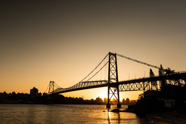istock Cable stayed bridge Hercilio Luz in Florianopolis, Santa Catarina, Brazil, 1263880897