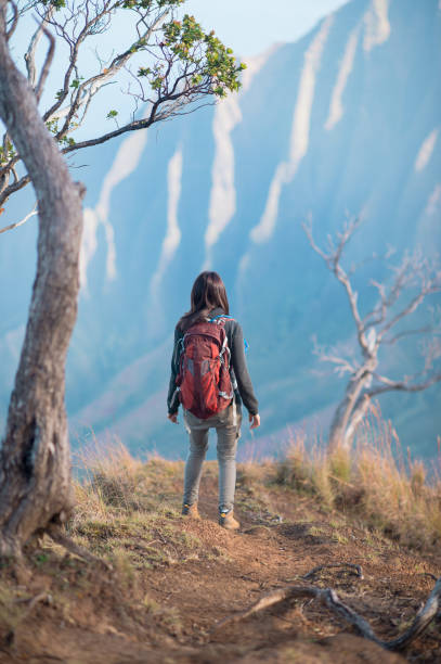 istock Solo traveller on a mountain 1263881863