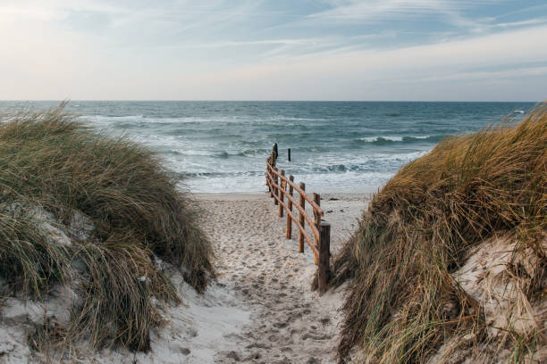 istock sand dunes on the baltic sea 1263881887