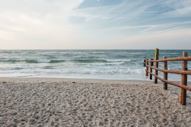 istock sand dunes on the baltic sea 1263881900
