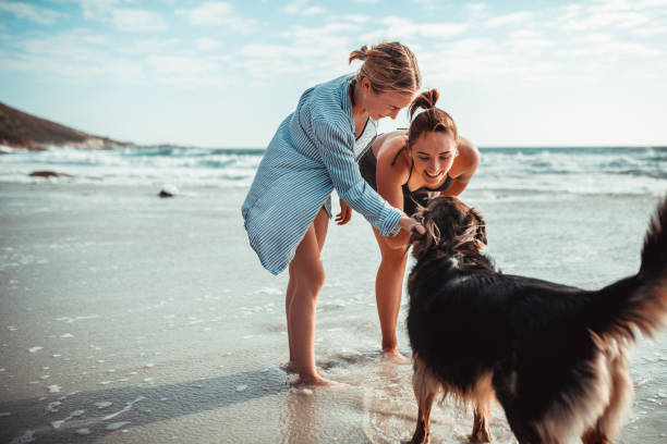 due giovani donne che giocano con il cane - cane al mare foto e immagini stock