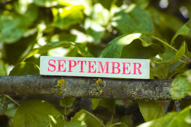 The month September printed on a wooden block lying on a tree branch. Close up.