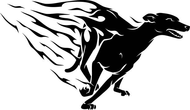 fast flaming greyhound dog - windhund stock-grafiken, -clipart, -cartoons und -symbole