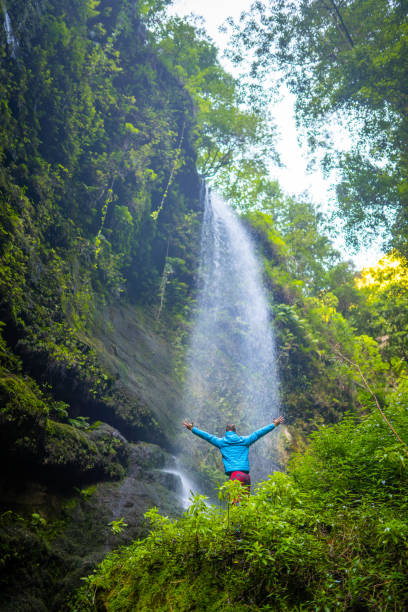 istock Man looking at waterfall, La Gomera, Canary Islands, Spain 1263887915