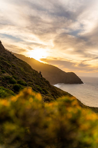 istock Person sitting on slope and looking at sea 1263888085