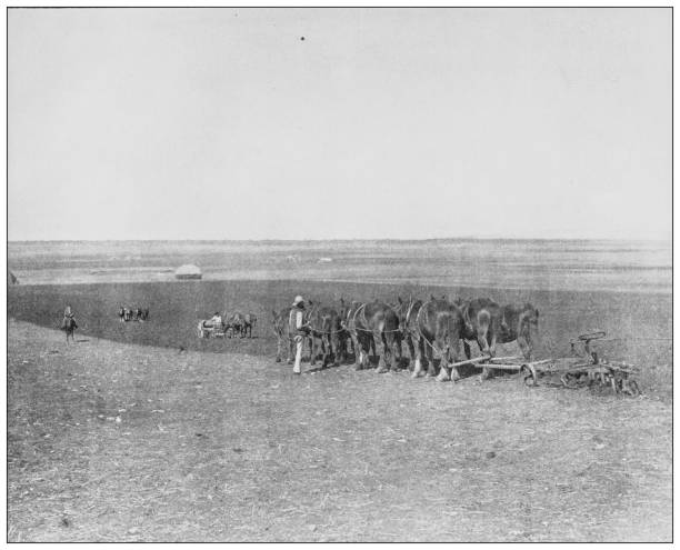 istock Antique black and white photograph: Canadian Farm 1263889221