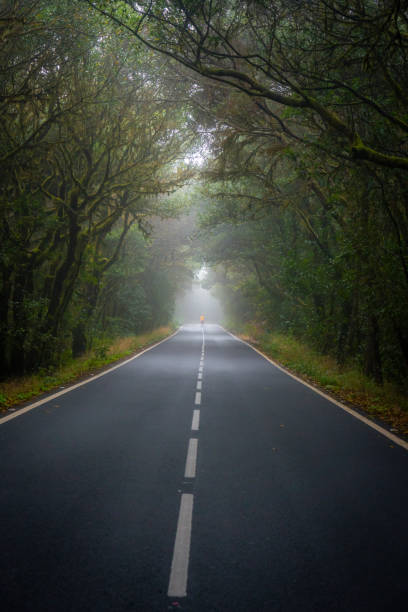 istock Man standing on empty road, La Gomera, Canary Islands, Spain 1263889773
